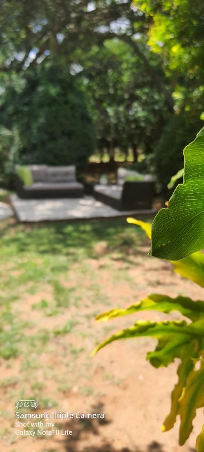 25 On Catherine Pretoria-Noord Dış mekan fotoğraf